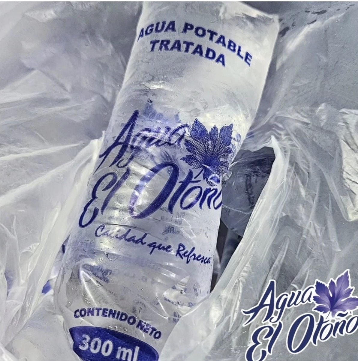 Agua en bolsa de 300 mL x 30 unds